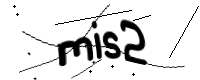 captcha_img