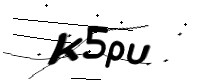 captcha_img